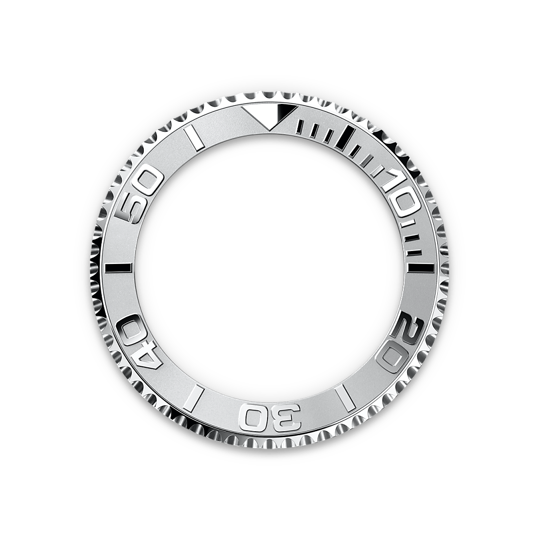 Bidirectional Rotatable Bezel